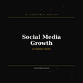 Social Media Growth & Analytics Tracker