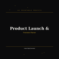 Product Launch & Promotion Planner