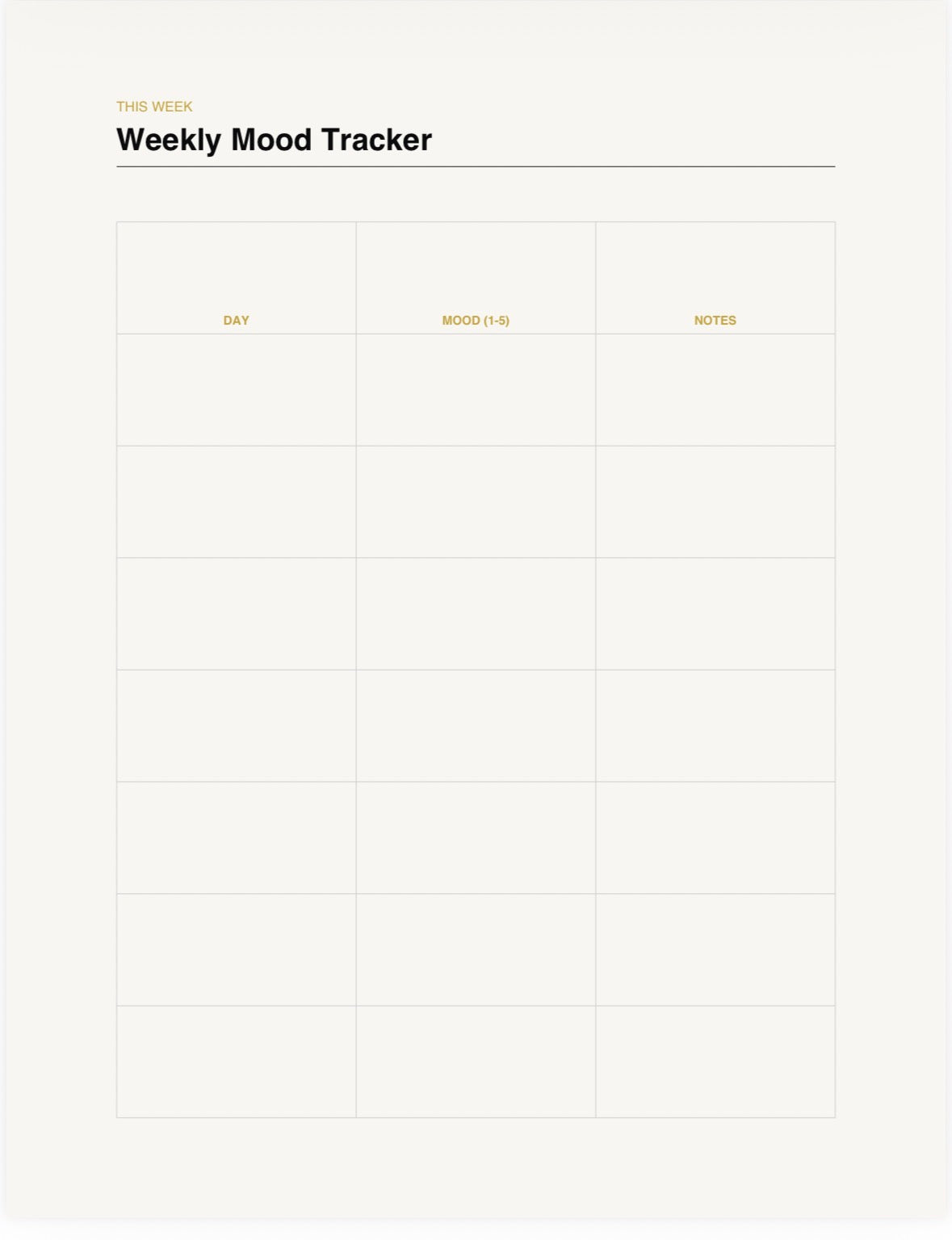 The Midnight Oil — Gratitude & Reflection Journal